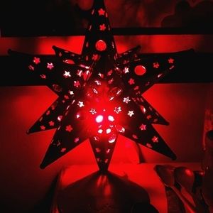 Meet your Posher, Ginger